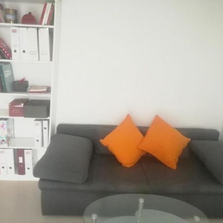 Helles Zimmer Mit Balkon Zwischen Uni Und Altstadt 雷根斯堡 外观 照片