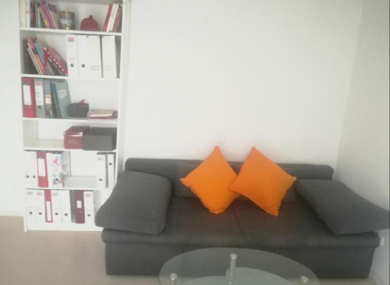 Helles Zimmer Mit Balkon Zwischen Uni Und Altstadt 雷根斯堡 外观 照片